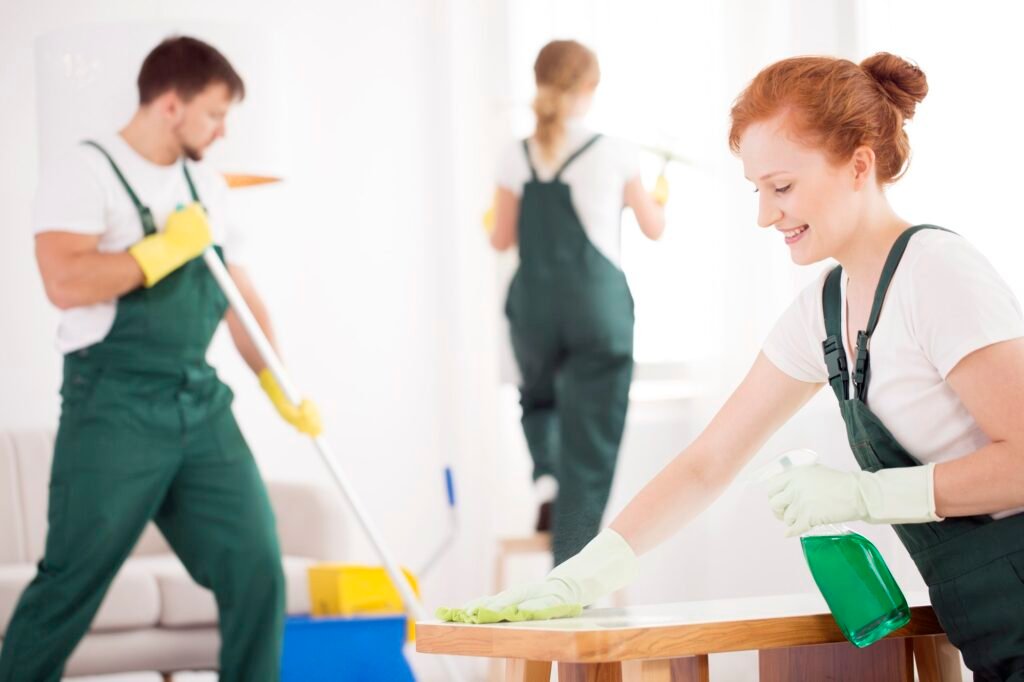 cleaning service during work 1
